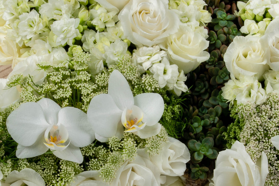 Witte bloemen in rouwstuk Vlinderkus.